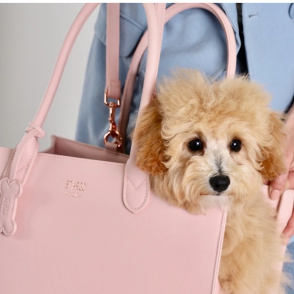 Pink Dog Carrier